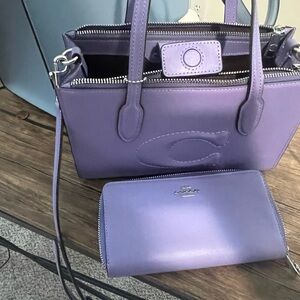 Small Nina Tote and wallet